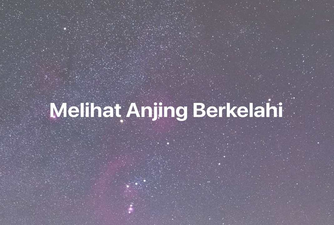 Gambar Mimpi Melihat Anjing Berkelahi