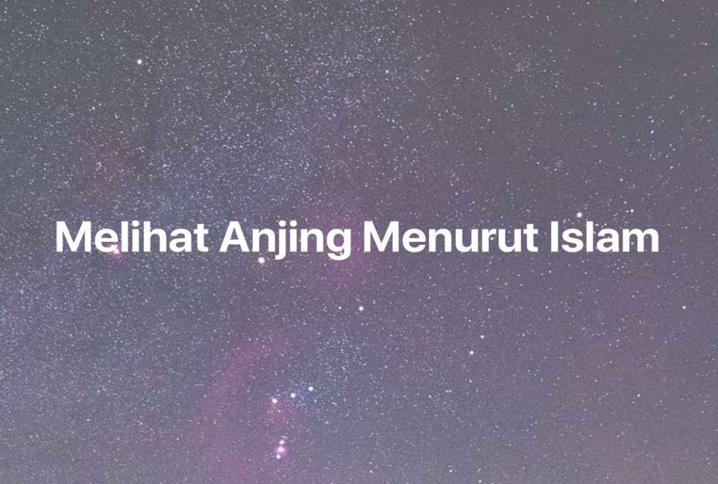 Gambar Mimpi Melihat Anjing Menurut Islam