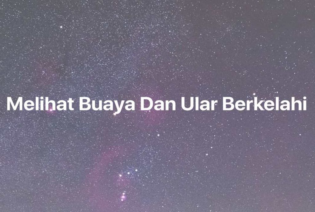 Gambar Mimpi Melihat Buaya Dan Ular Berkelahi