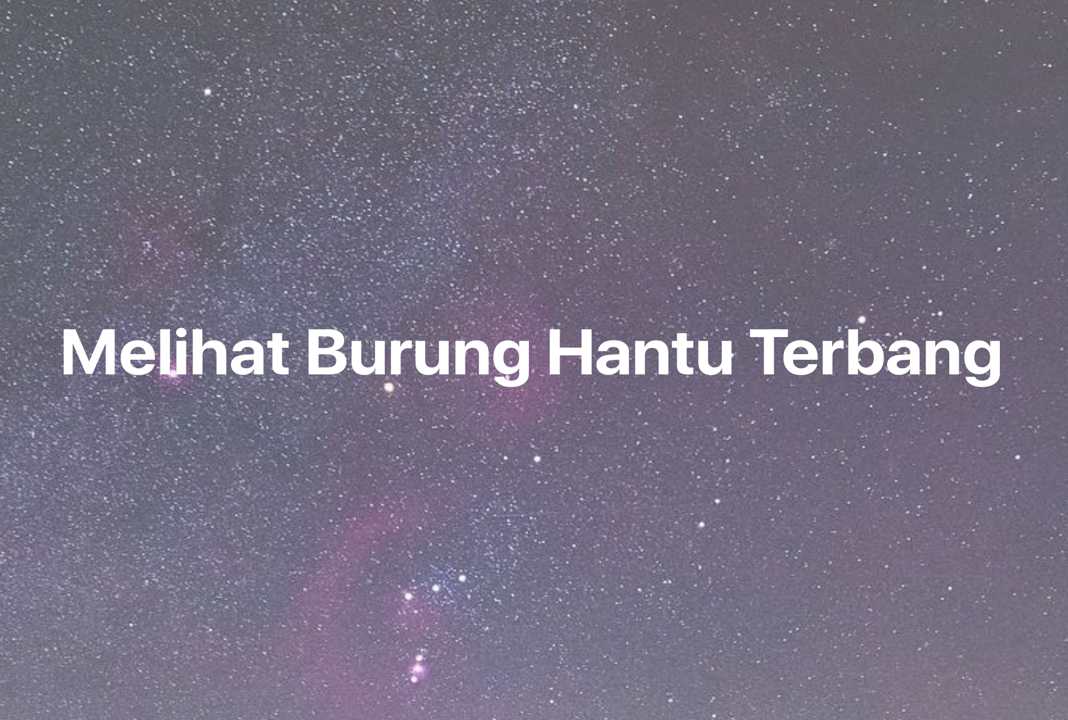 Gambar Mimpi Melihat Burung Hantu Terbang