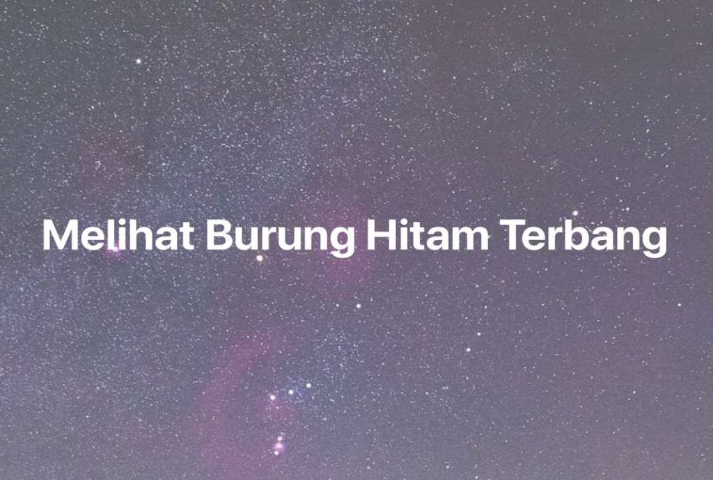 Gambar Mimpi Melihat Burung Hitam Terbang