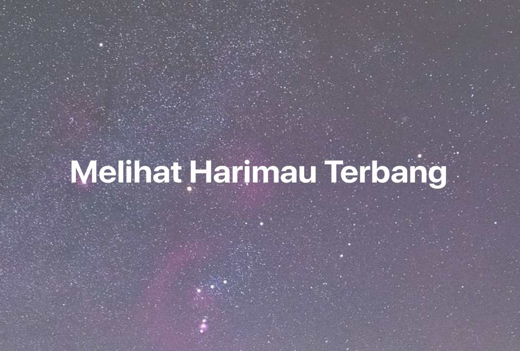 Gambar Mimpi Melihat Harimau Terbang