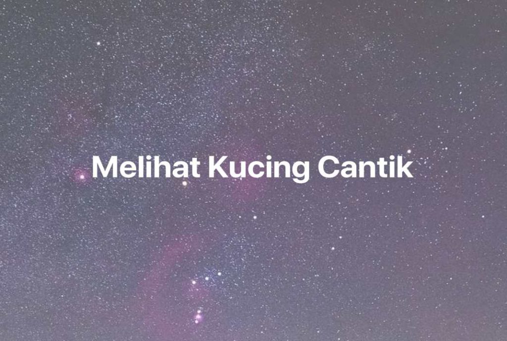 Gambar Mimpi Melihat Kucing Cantik