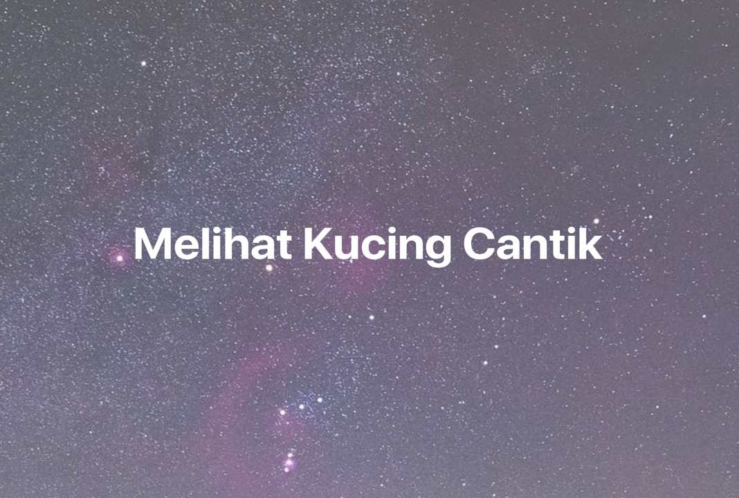 Gambar Mimpi Melihat Kucing Cantik