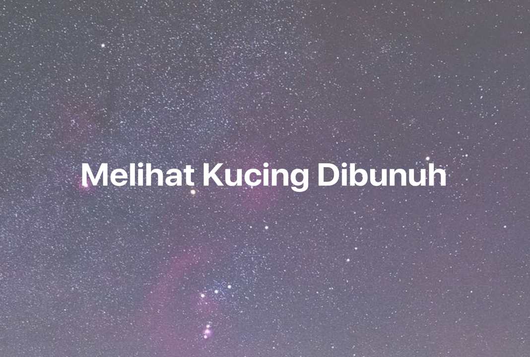 Gambar Mimpi Melihat Kucing Dibunuh