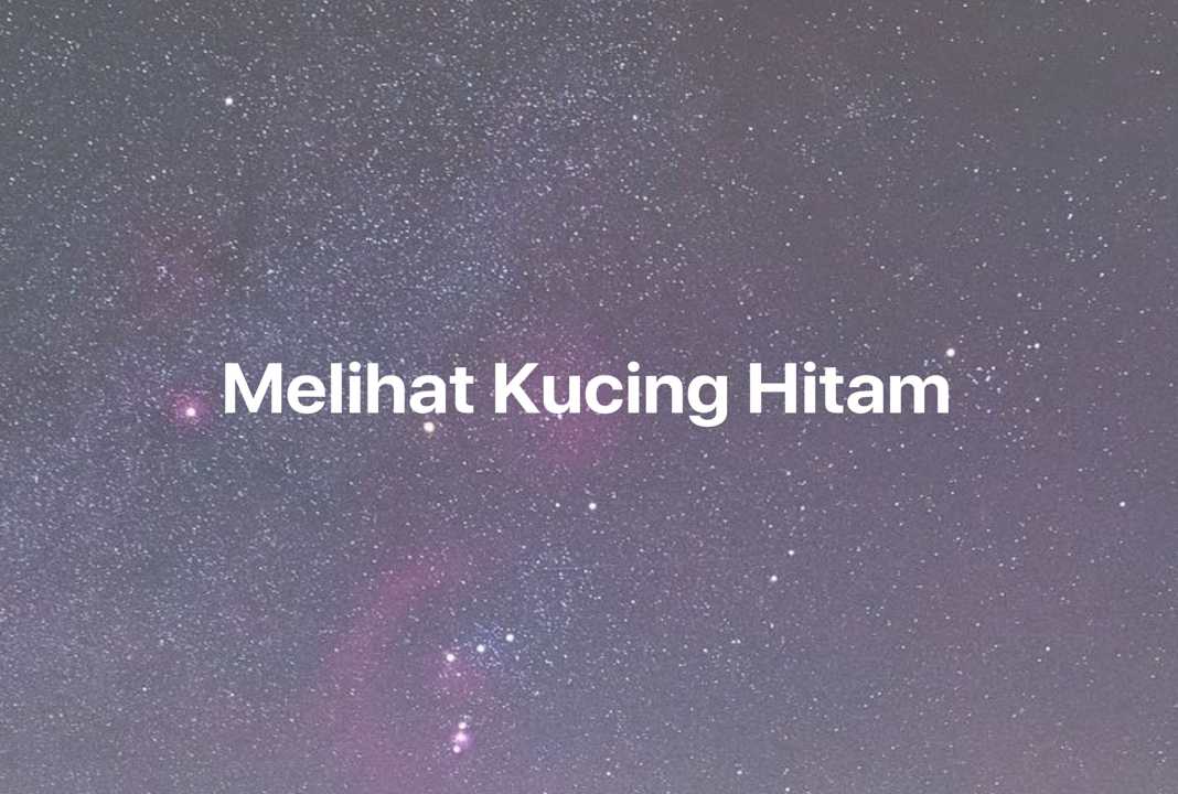 Gambar Mimpi Melihat Kucing Hitam