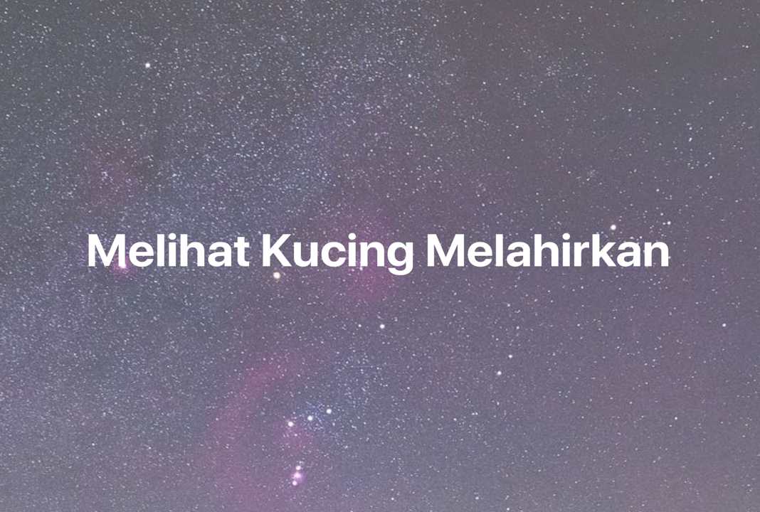 Gambar Mimpi Melihat Kucing Melahirkan