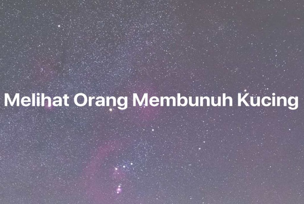 Gambar Mimpi Melihat Orang Membunuh Kucing