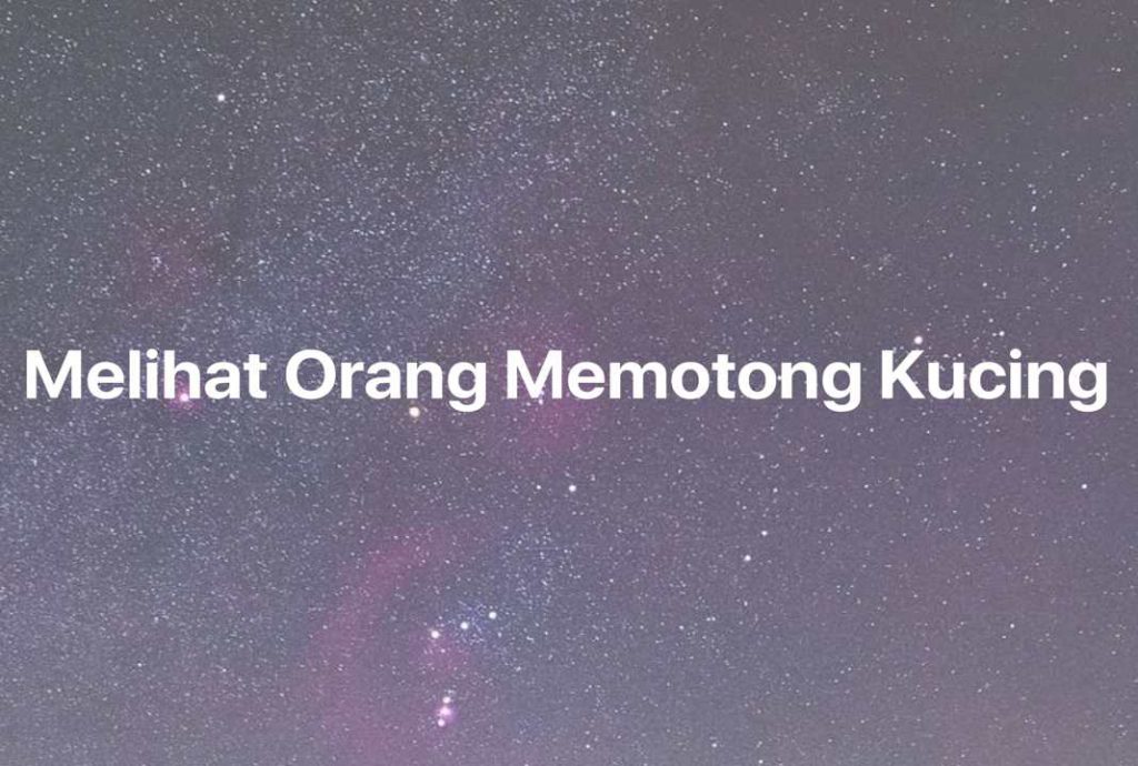 Gambar Mimpi Melihat Orang Memotong Kucing