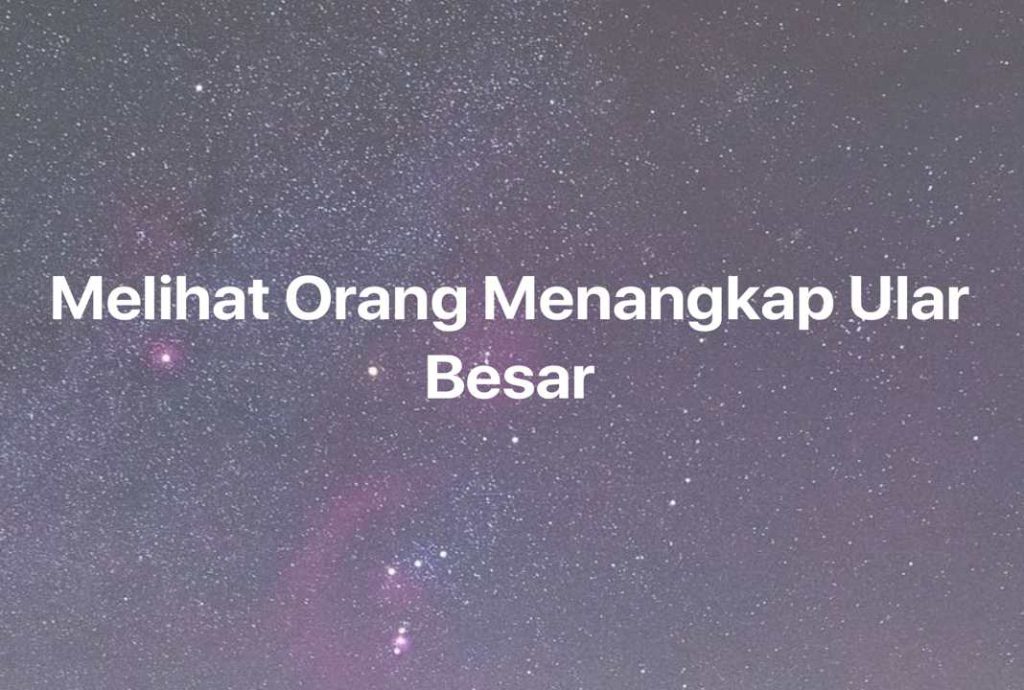 Gambar Mimpi Melihat Orang Menangkap Ular Besar