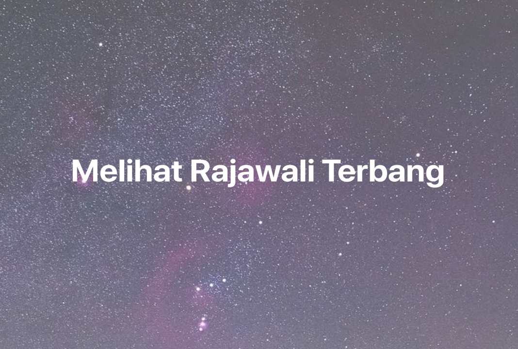 Gambar Mimpi Melihat Rajawali Terbang