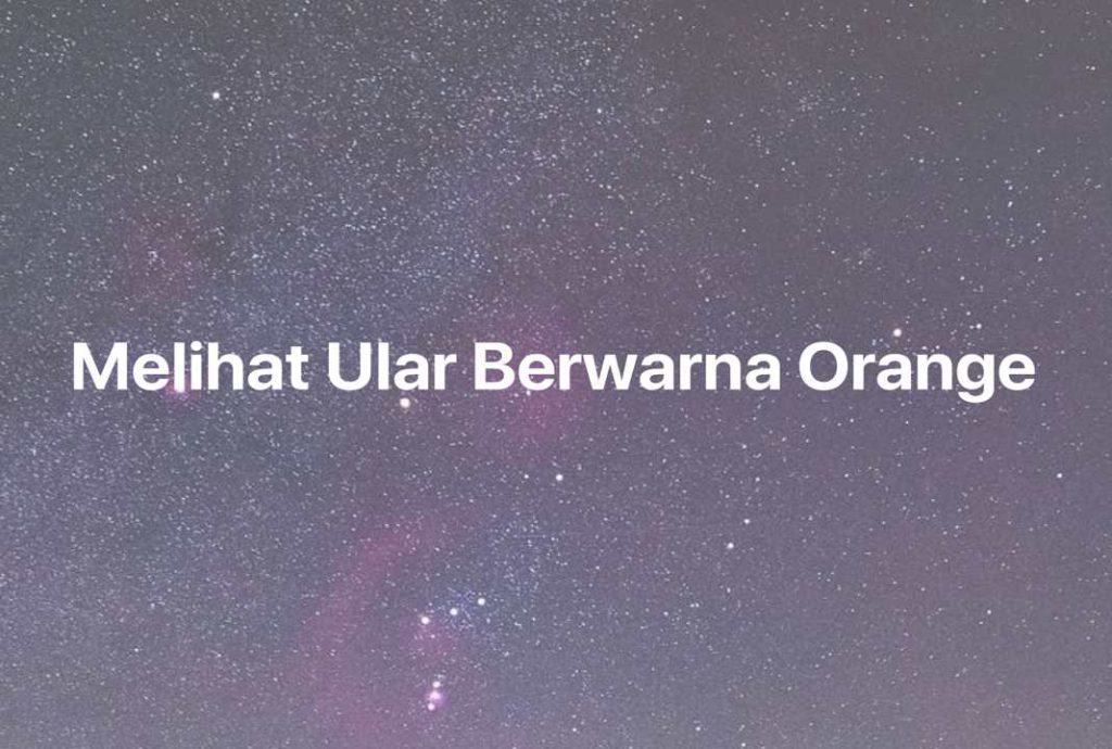 Gambar Mimpi Melihat Ular Berwarna Orange