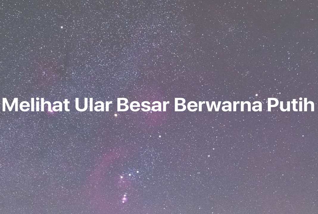 Gambar Mimpi Melihat Ular Besar Berwarna Putih