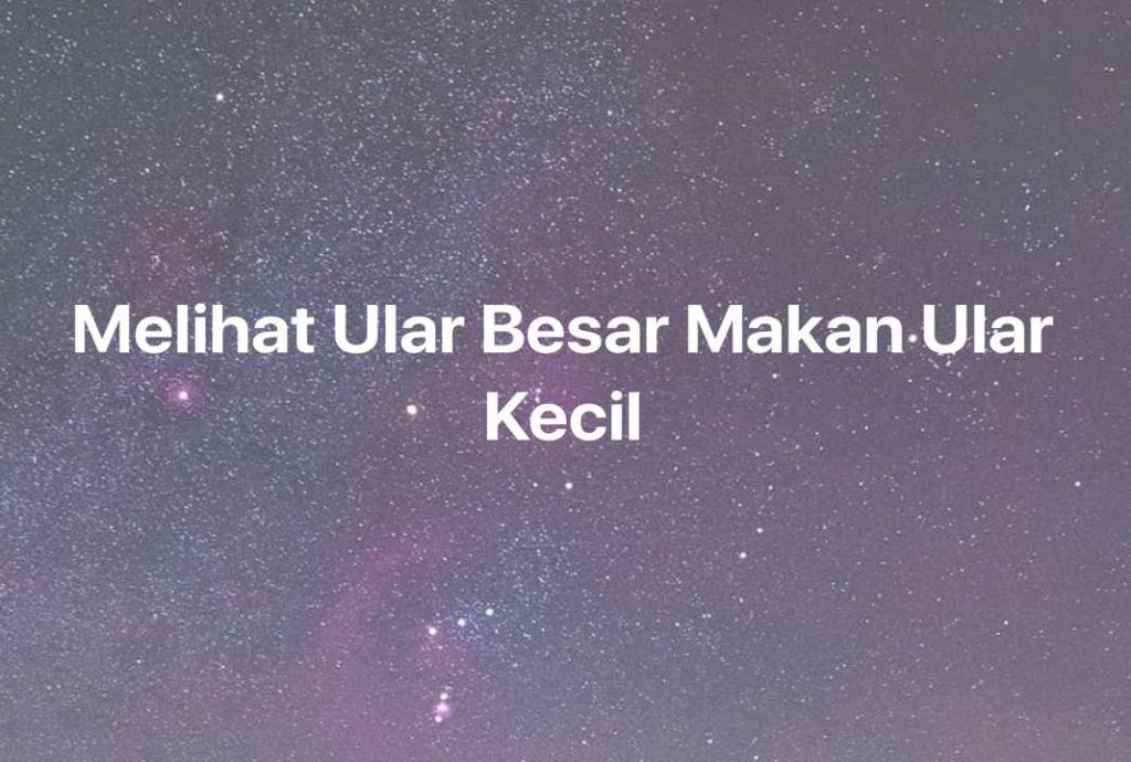 Gambar Mimpi Melihat Ular Besar Makan Ular Kecil