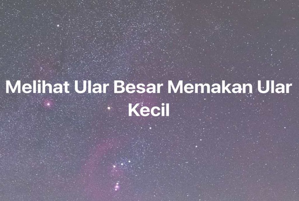 Gambar Mimpi Melihat Ular Besar Memakan Ular Kecil