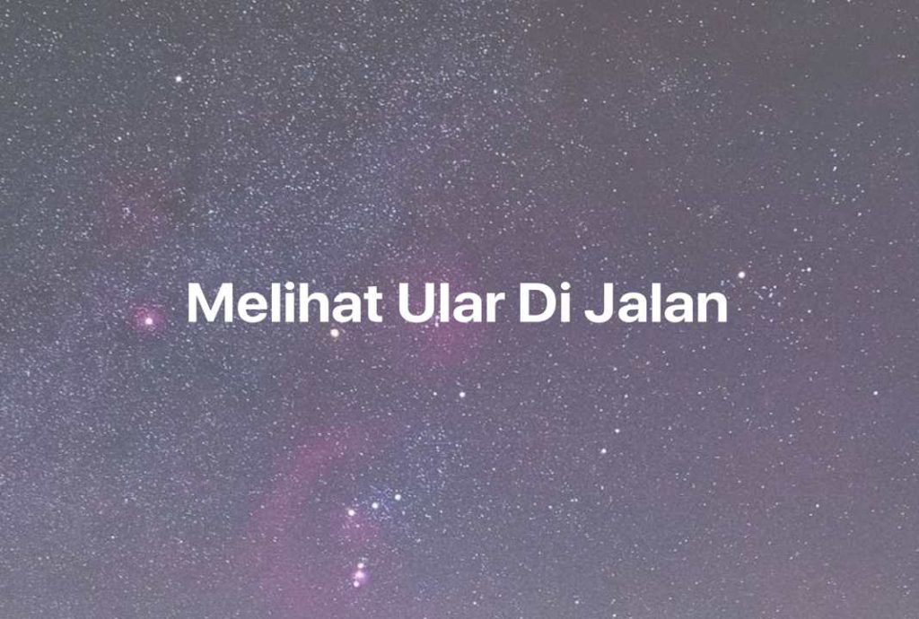 Gambar Mimpi Melihat Ular Di Jalan