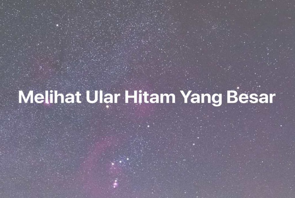 Gambar Mimpi Melihat Ular Hitam Yang Besar