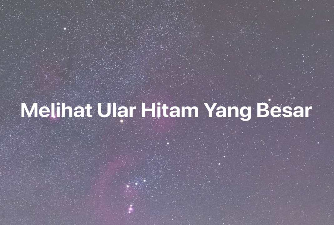 Gambar Mimpi Melihat Ular Hitam Yang Besar