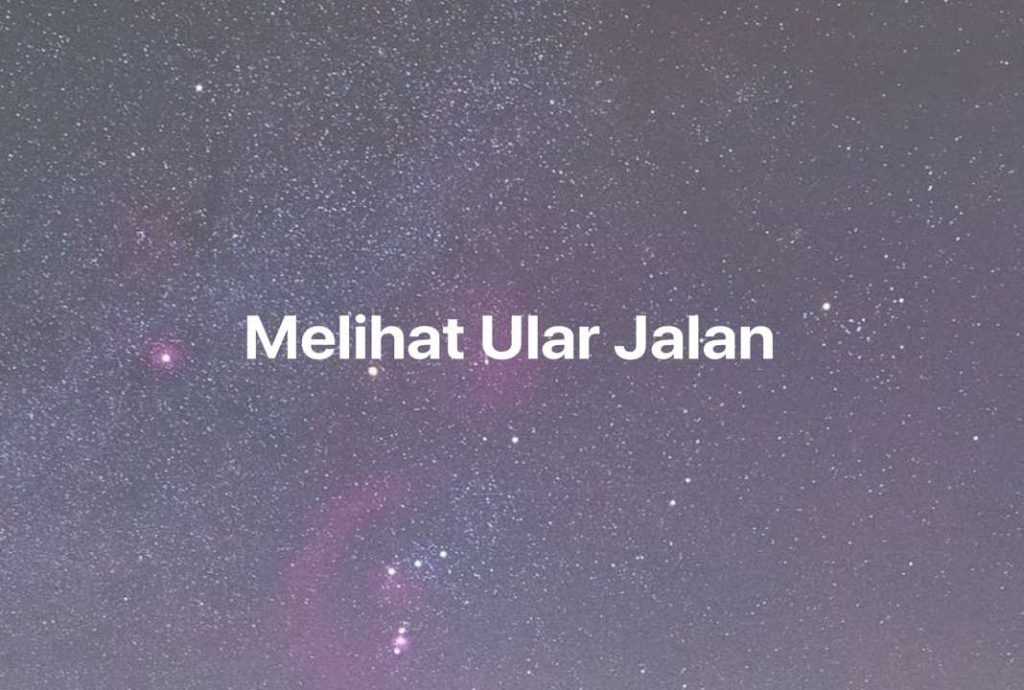 Gambar Mimpi Melihat Ular Jalan