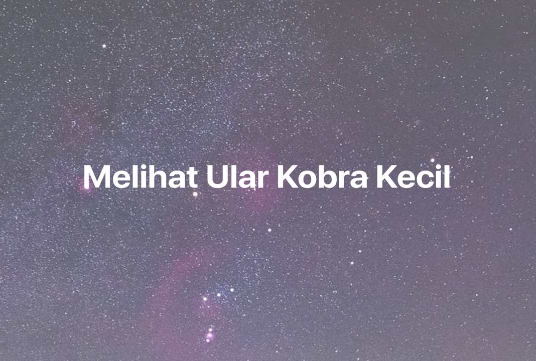 Gambar Mimpi Melihat Ular Kobra Kecil