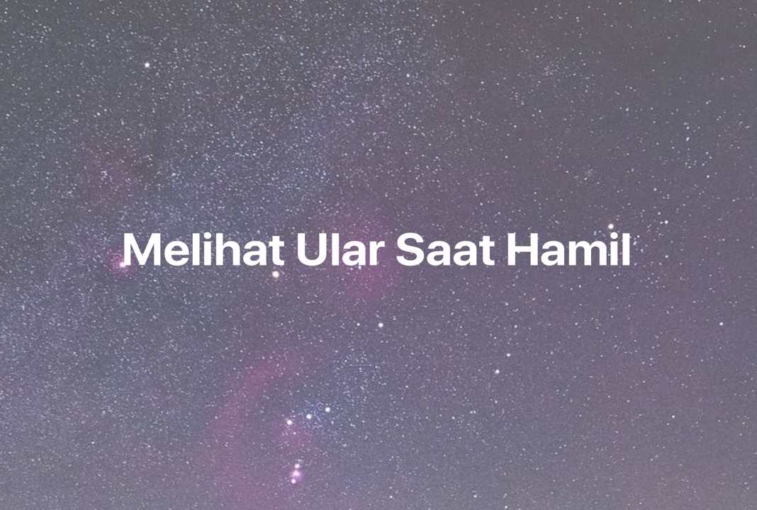 Gambar Mimpi Melihat Ular Saat Hamil