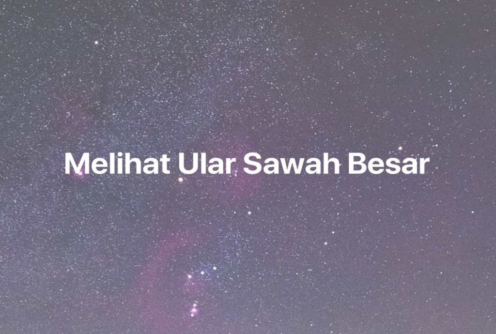 Gambar Mimpi Melihat Ular Sawah Besar