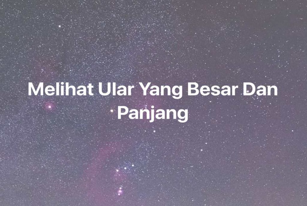 Gambar Mimpi Melihat Ular Yang Besar Dan Panjang