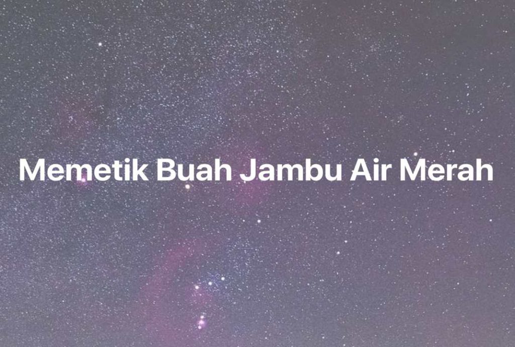 Gambar Mimpi Memetik Buah Jambu Air Merah