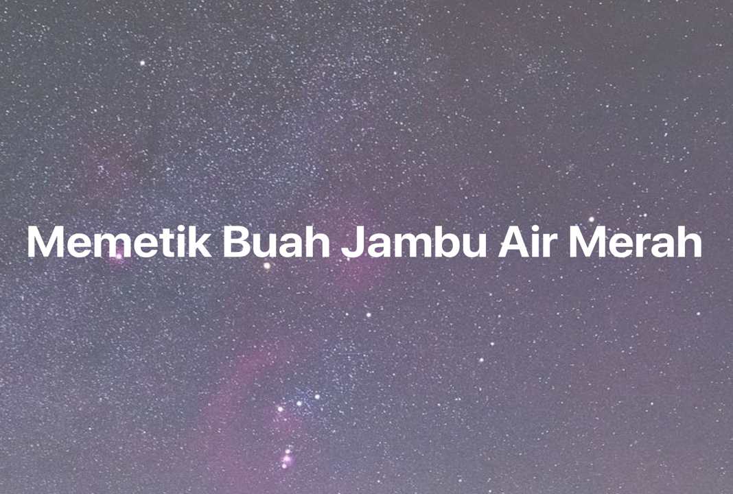 Gambar Mimpi Memetik Buah Jambu Air Merah