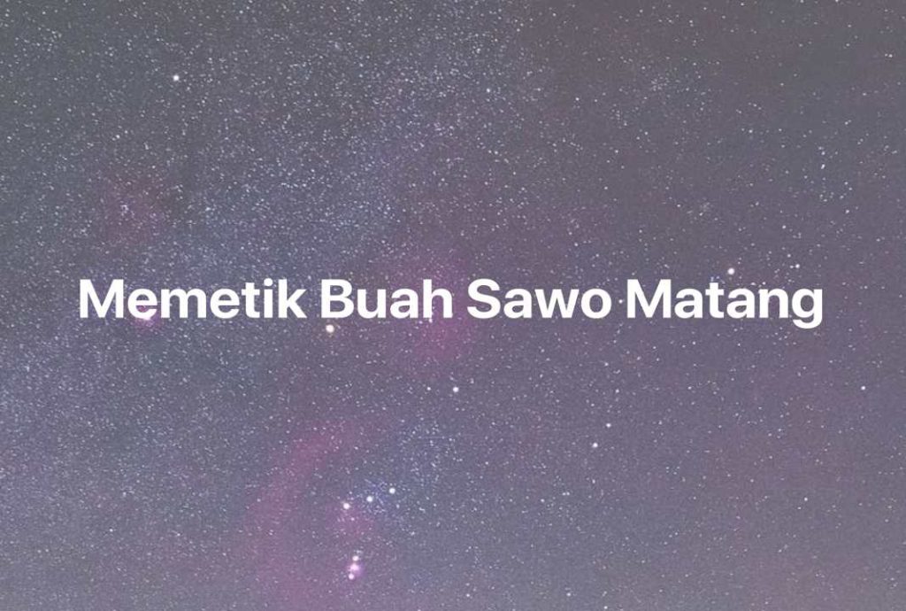 Gambar Mimpi Memetik Buah Sawo Matang