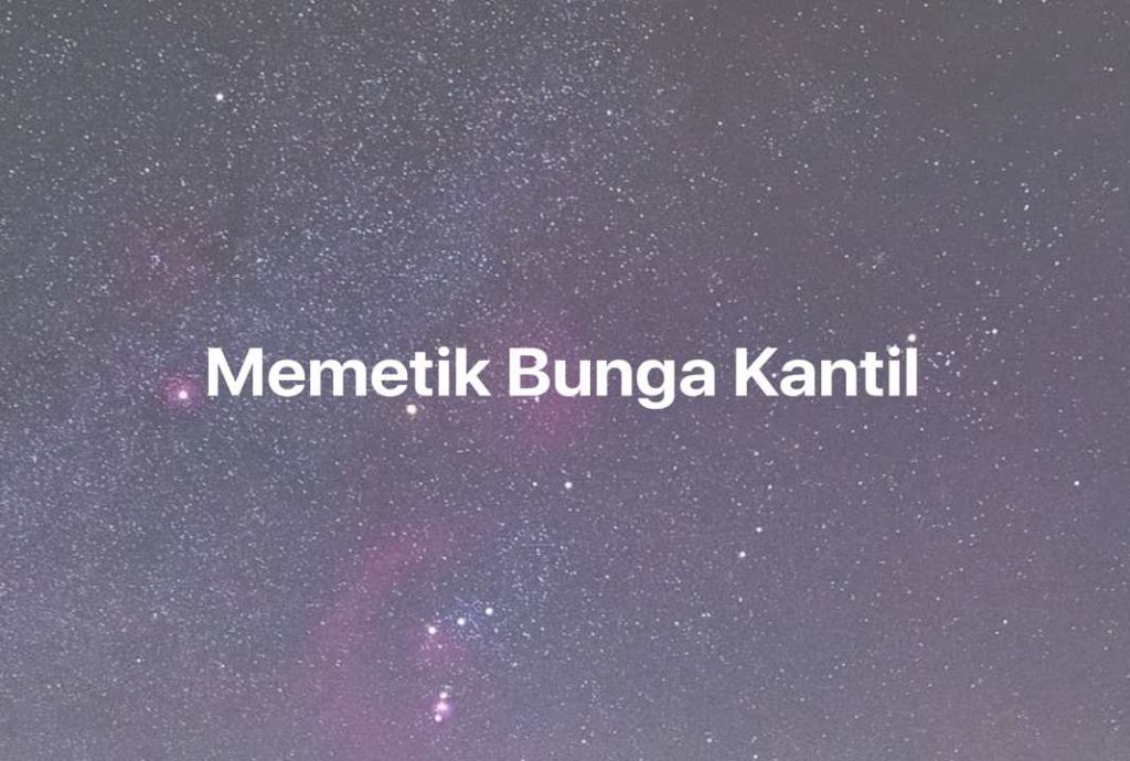 Gambar Mimpi Memetik Bunga Kantil