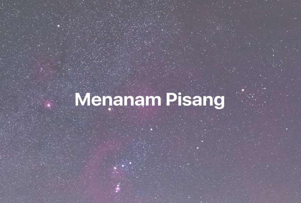 Gambar Mimpi Menanam Pisang