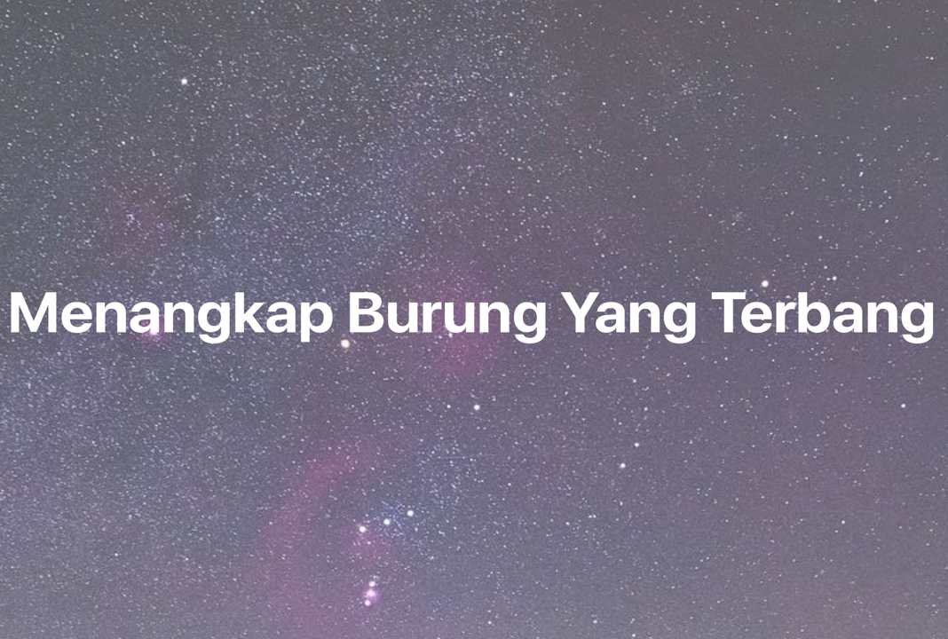 Gambar Mimpi Menangkap Burung Yang Terbang