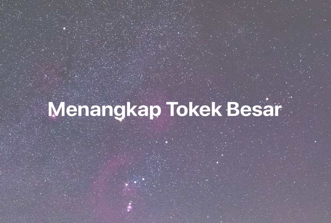 Gambar Mimpi Menangkap Tokek Besar