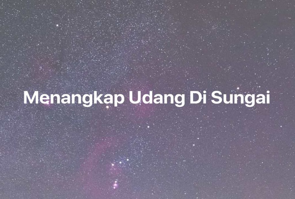 Gambar Mimpi Menangkap Udang Di Sungai