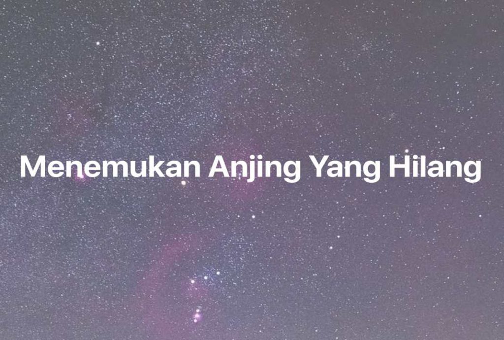 Gambar Mimpi Menemukan Anjing Yang Hilang