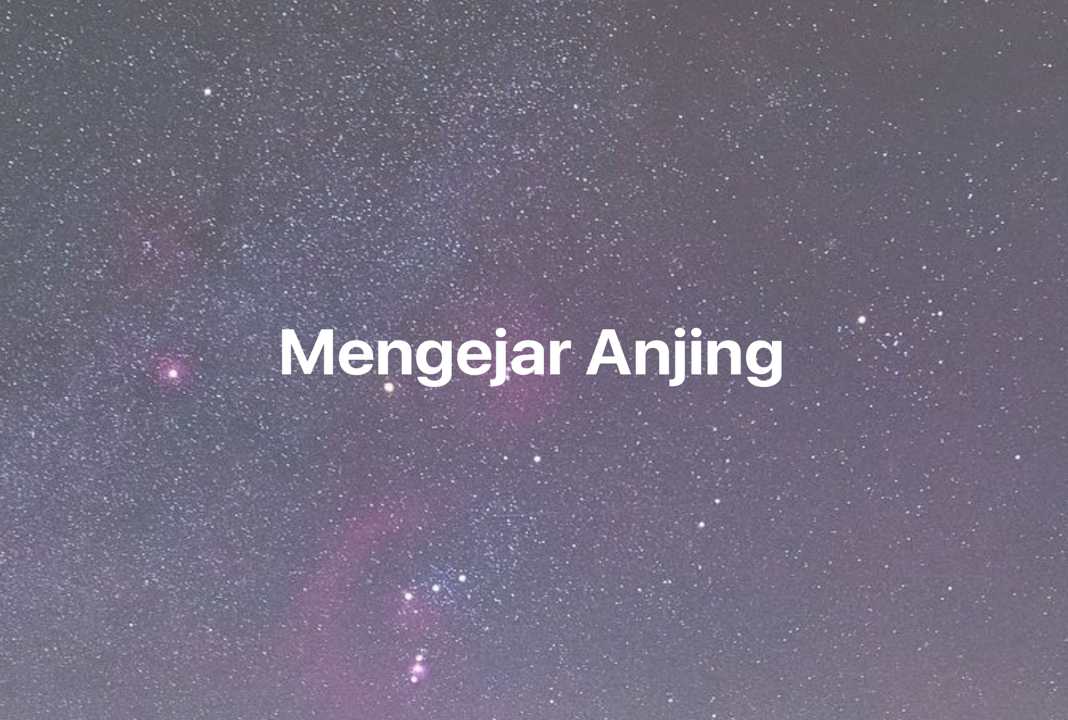 Gambar Mimpi Mengejar Anjing