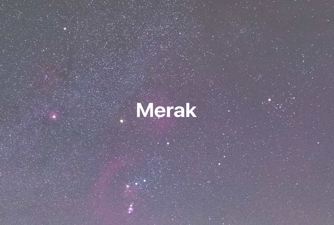 Gambar Mimpi Merak