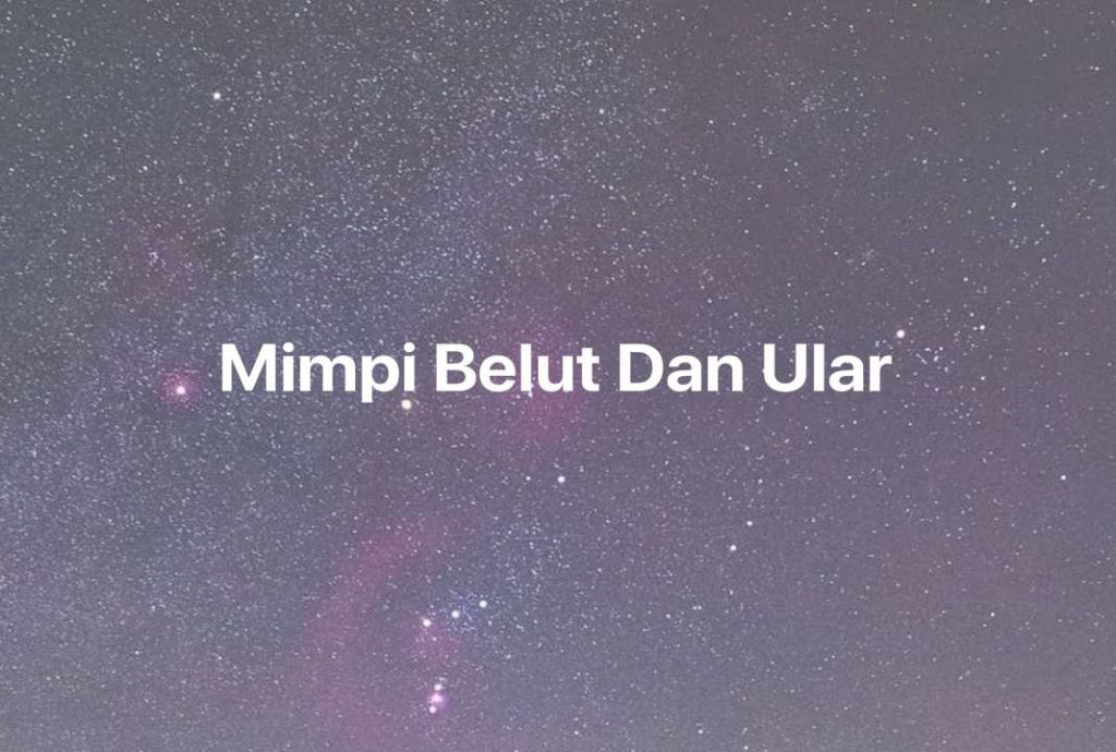 Gambar Mimpi Mimpi Belut Dan Ular