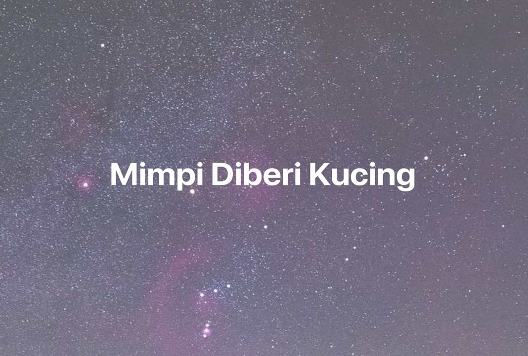 Gambar Mimpi Mimpi Diberi Kucing