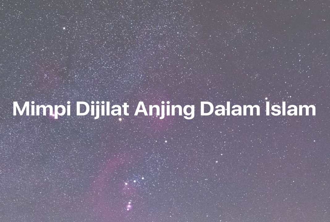 Gambar Mimpi Mimpi Dijilat Anjing Dalam Islam