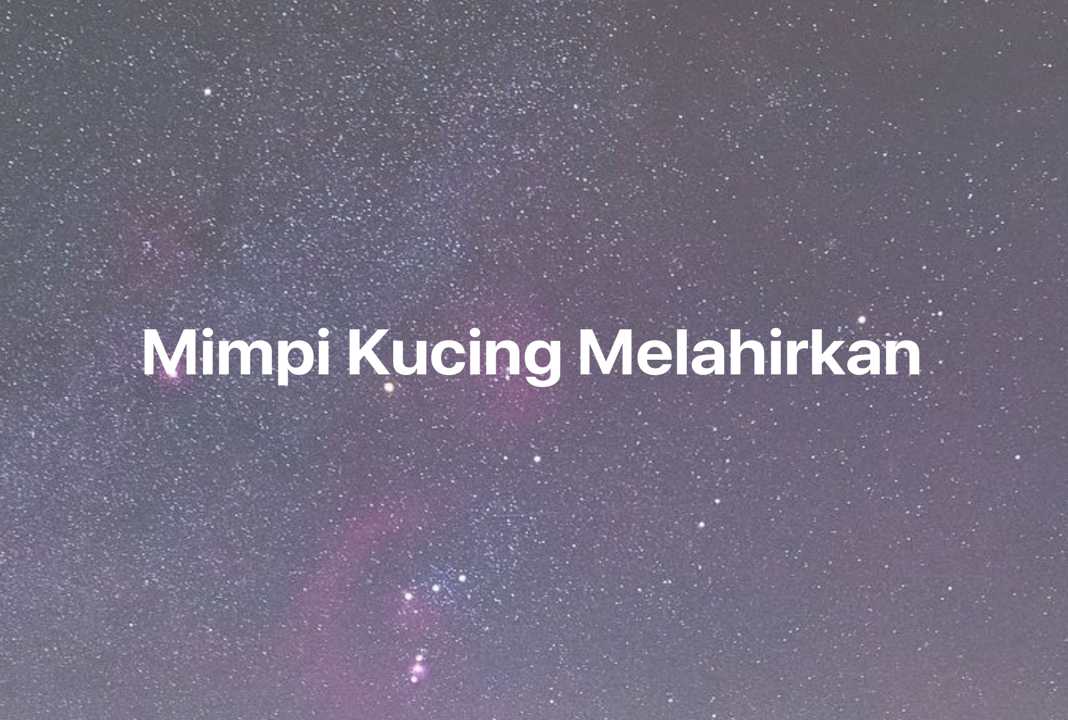 Gambar Mimpi Mimpi Kucing Melahirkan