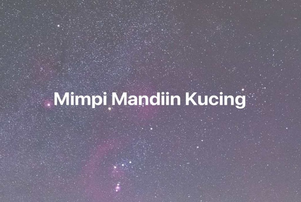 Gambar Mimpi Mimpi Mandiin Kucing