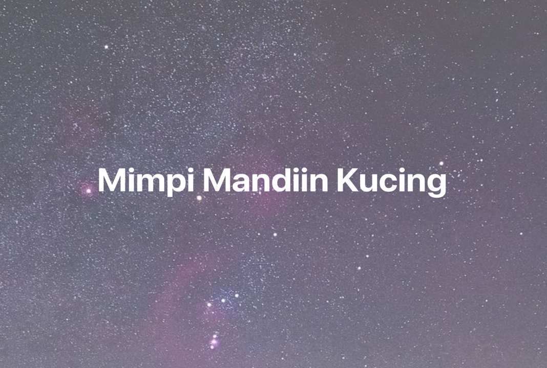 Gambar Mimpi Mimpi Mandiin Kucing