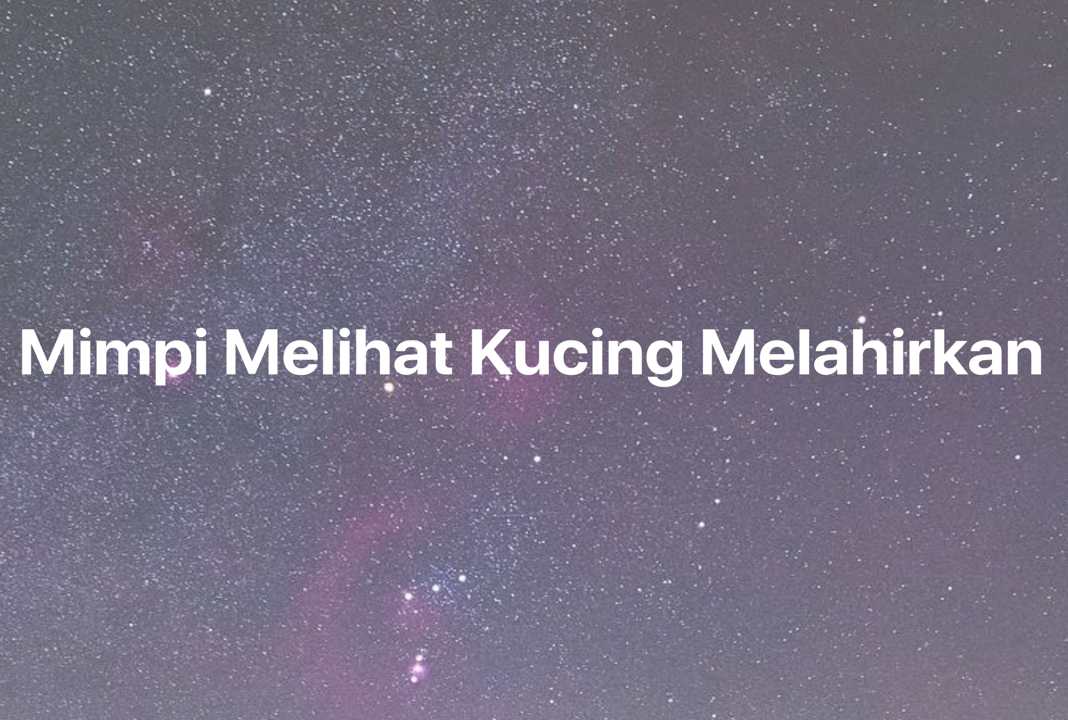 Gambar Mimpi Mimpi Melihat Kucing Melahirkan