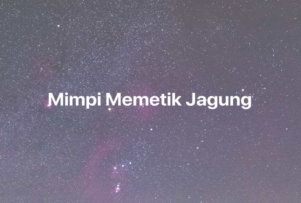 Gambar Mimpi Mimpi Memetik Jagung