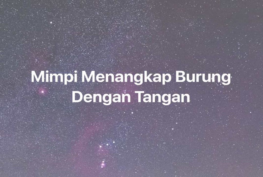 Gambar Mimpi Mimpi Menangkap Burung Dengan Tangan