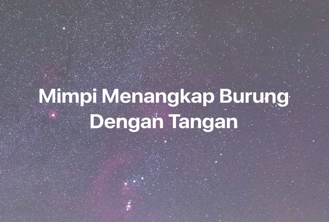 Gambar Mimpi Mimpi Menangkap Burung Dengan Tangan