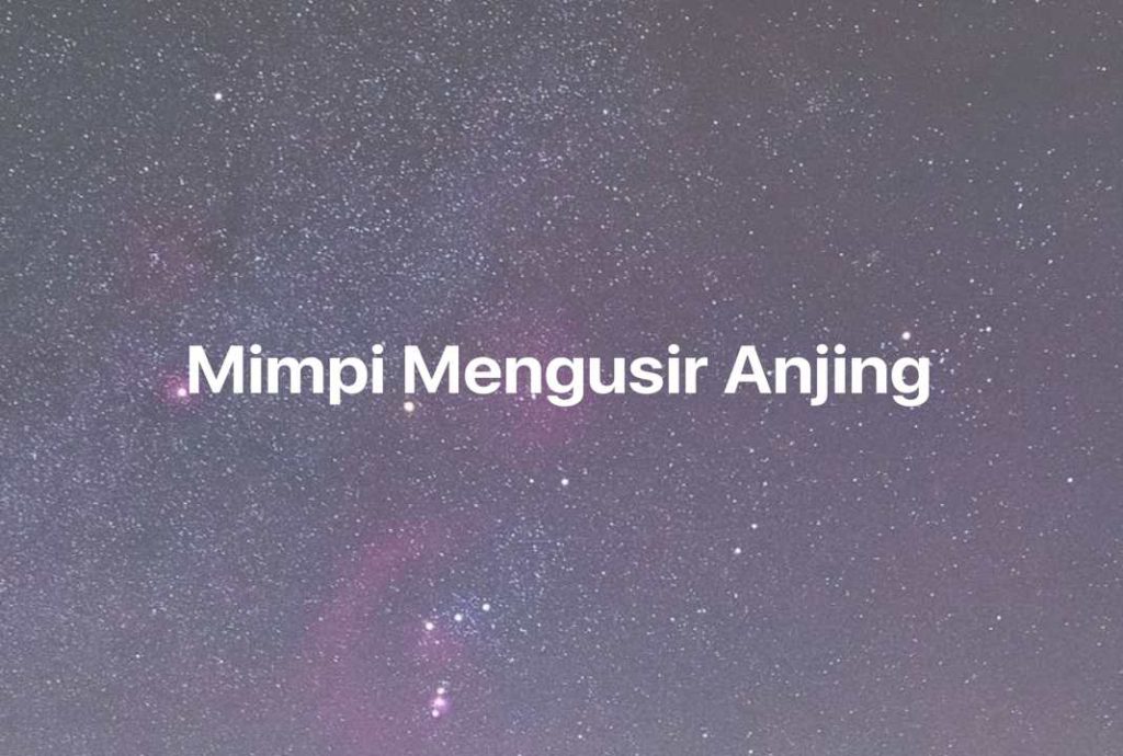 Gambar Mimpi Mimpi Mengusir Anjing