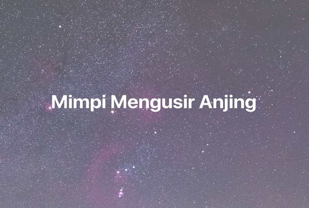 Gambar Mimpi Mimpi Mengusir Anjing